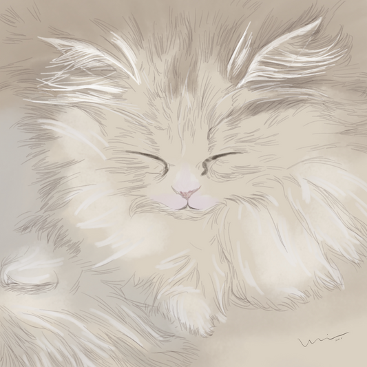 Cat Nap on the Sill (《眯眼小憩》) — Digital Art