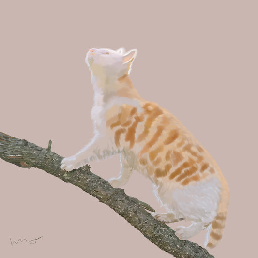 Climber of Light (《攀光者》) — Digital Art