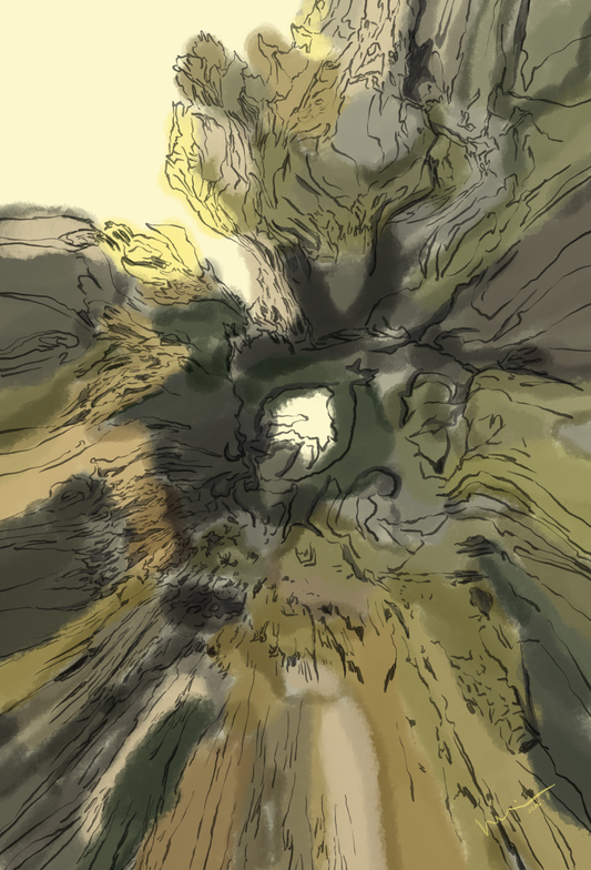 Sky through a Rot Hole 《朽洞观天》