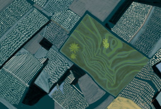 Tiled Geometry from Above 《瓦构几何》